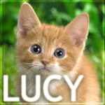 LuCy