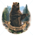 Avatar člena