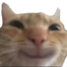 VHusarik